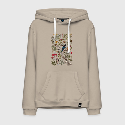 Мужская толстовка-худи Сорокино сокровище / Миндальный – фото 1