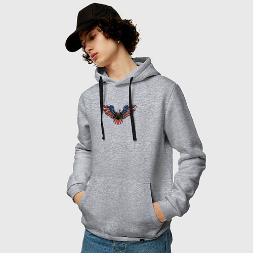 Мужская толстовка-худи USA eagle / Меланж – фото 3