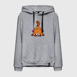 Толстовка-худи хлопковая мужская Cute red panda, цвет: меланж