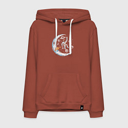 Толстовка-худи хлопковая мужская Полёт на метле, цвет: кирпичный