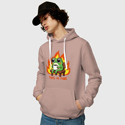 Толстовка-худи хлопковая мужская Frog - this is fine, цвет: пыльно-розовый — фото 2