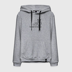 Толстовка-худи хлопковая мужская Теория эволюции Тоторо, цвет: меланж