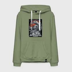 Толстовка-худи хлопковая мужская Metallica - Michigan playbill Grand rapids, цвет: авокадо