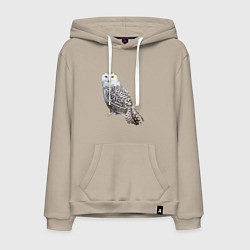 Толстовка-худи хлопковая мужская Полярная сова, цвет: миндальный