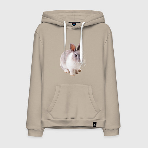 Мужская толстовка-худи Кролик бело-серый / Миндальный – фото 1