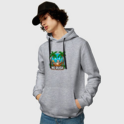 Толстовка-худи хлопковая мужская Не торопись - ленивец в гамаке, цвет: меланж — фото 2