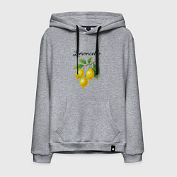 Толстовка-худи хлопковая мужская Limoncello, цвет: меланж