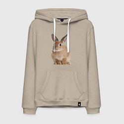 Толстовка-худи хлопковая мужская Бежевый кролик, цвет: миндальный