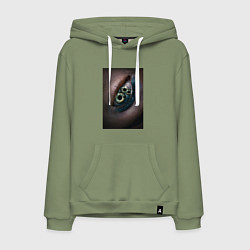 Толстовка-худи хлопковая мужская Субстанция, цвет: авокадо