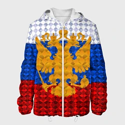 Куртка с капюшоном мужская Россия: полигоны, цвет: 3D-белый