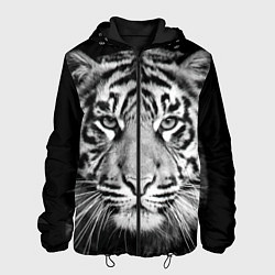 Мужская куртка Мордочка тигра