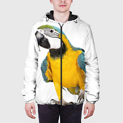 Куртка с капюшоном мужская Попугай ара, цвет: 3D-черный — фото 2
