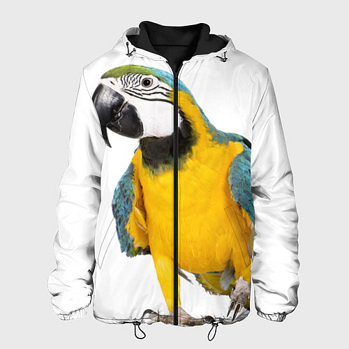 Мужская куртка Попугай ара / 3D-Черный – фото 1