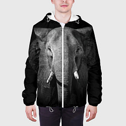 Куртка с капюшоном мужская Взгляд слона, цвет: 3D-белый — фото 2