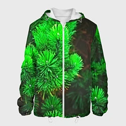 Мужская куртка Зелёная ель