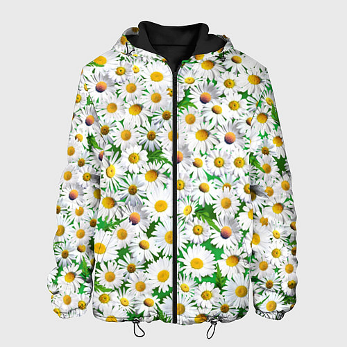 Мужская куртка Полевые ромашки / 3D-Черный – фото 1