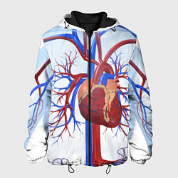Куртка с капюшоном мужская Сердечно-сосудистая система, цвет: 3D-черный