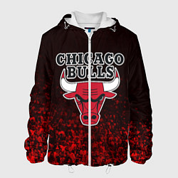 Мужская куртка CHICAGO BULLS