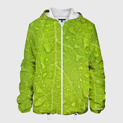 Куртка с капюшоном мужская Листок с росой, цвет: 3D-белый