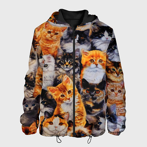 Мужская куртка КОТЯТКИ / 3D-Черный – фото 1