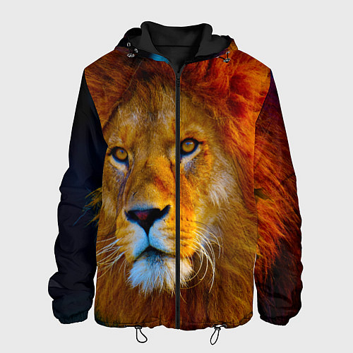 Мужская куртка Лев 3D / 3D-Черный – фото 1