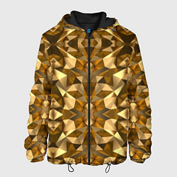 Куртка с капюшоном мужская Gold, цвет: 3D-черный