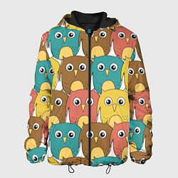 Куртка с капюшоном мужская Разноцветные совы, цвет: 3D-черный