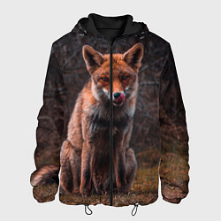 Мужская куртка Хищная лисица