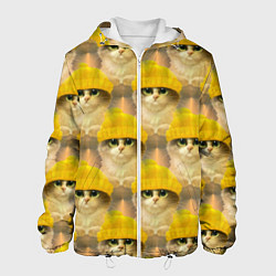 Куртка с капюшоном мужская Котята, цвет: 3D-белый