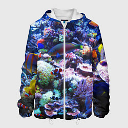 Куртка с капюшоном мужская Коралловые рыбки, цвет: 3D-белый