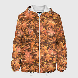 Мужская куртка Осеннее листопад