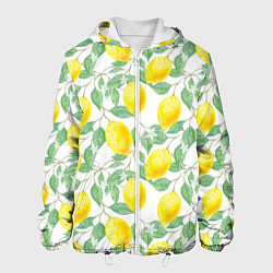 Куртка с капюшоном мужская Лимоны 3d, цвет: 3D-белый