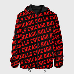 Куртка с капюшоном мужская Чикаго Буллз, Chicago Bulls, цвет: 3D-черный