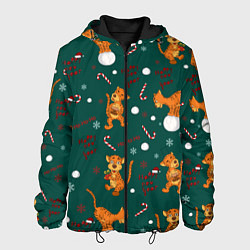 Куртка с капюшоном мужская Тигр и рождество, цвет: 3D-черный