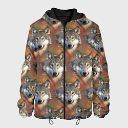 Куртка с капюшоном мужская Волки Wolfs паттерн, цвет: 3D-черный