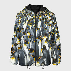 Куртка с капюшоном мужская Пингвины Penguins, цвет: 3D-черный