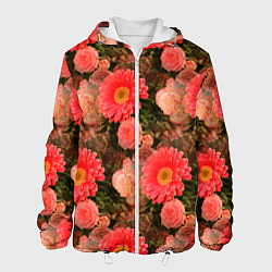 Куртка с капюшоном мужская Полевые цветочки дачные цветы, цвет: 3D-белый