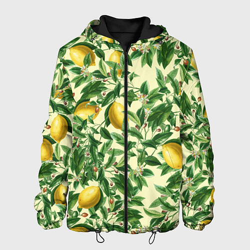 Мужская куртка Лимоны На Ветках / 3D-Черный – фото 1