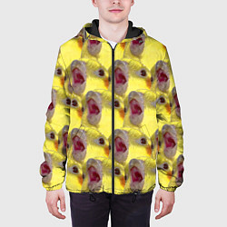 Куртка с капюшоном мужская Попугай Корелла Орёт Мем, цвет: 3D-черный — фото 2