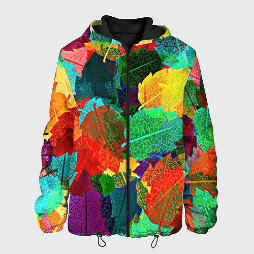 Мужская куртка Colored leaves / 3D-Черный – фото 1