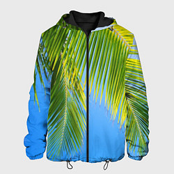 Куртка с капюшоном мужская Пальма у неба, цвет: 3D-черный