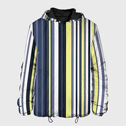 Куртка с капюшоном мужская Абстрактные разноцветные линии, цвет: 3D-черный