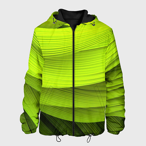 Мужская куртка Зеленый абстрактный фон / 3D-Черный – фото 1