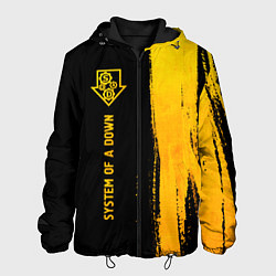 Куртка с капюшоном мужская System of a Down - gold gradient: по-вертикали, цвет: 3D-черный