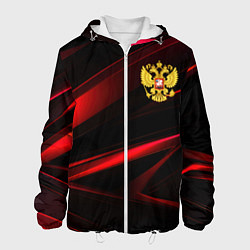 Куртка с капюшоном мужская Золотистый герб России, цвет: 3D-белый