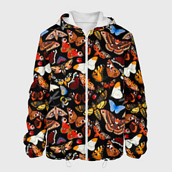 Куртка с капюшоном мужская Разноцветные тропические бабочки, цвет: 3D-белый