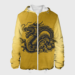 Куртка с капюшоном мужская Дракон на золоте, цвет: 3D-белый