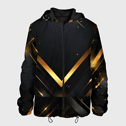 Куртка с капюшоном мужская Gold luxury black abstract, цвет: 3D-черный