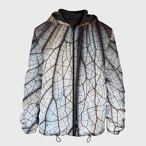 Мужская куртка Прожилки растения / 3D-Черный – фото 1
