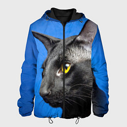 Куртка с капюшоном мужская Черный кот, цвет: 3D-черный